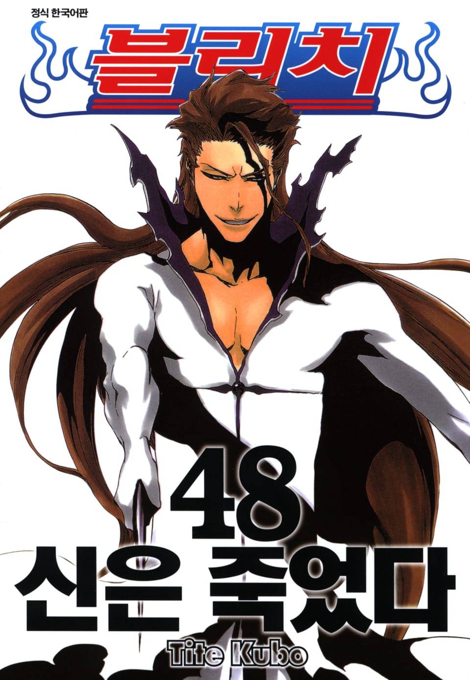 블리치 48권