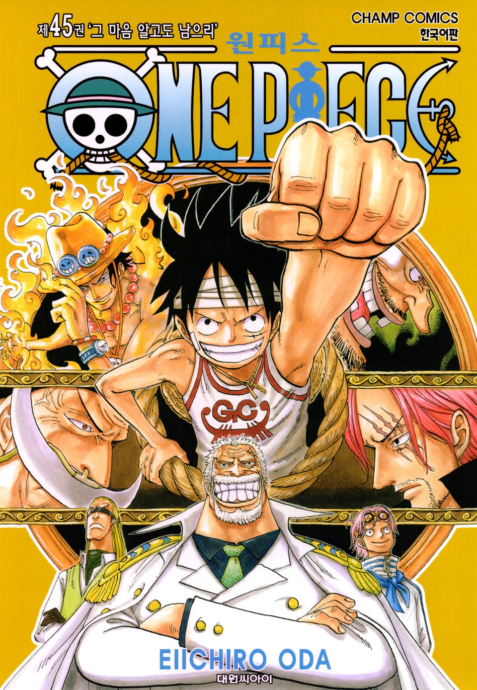 원피스 45권