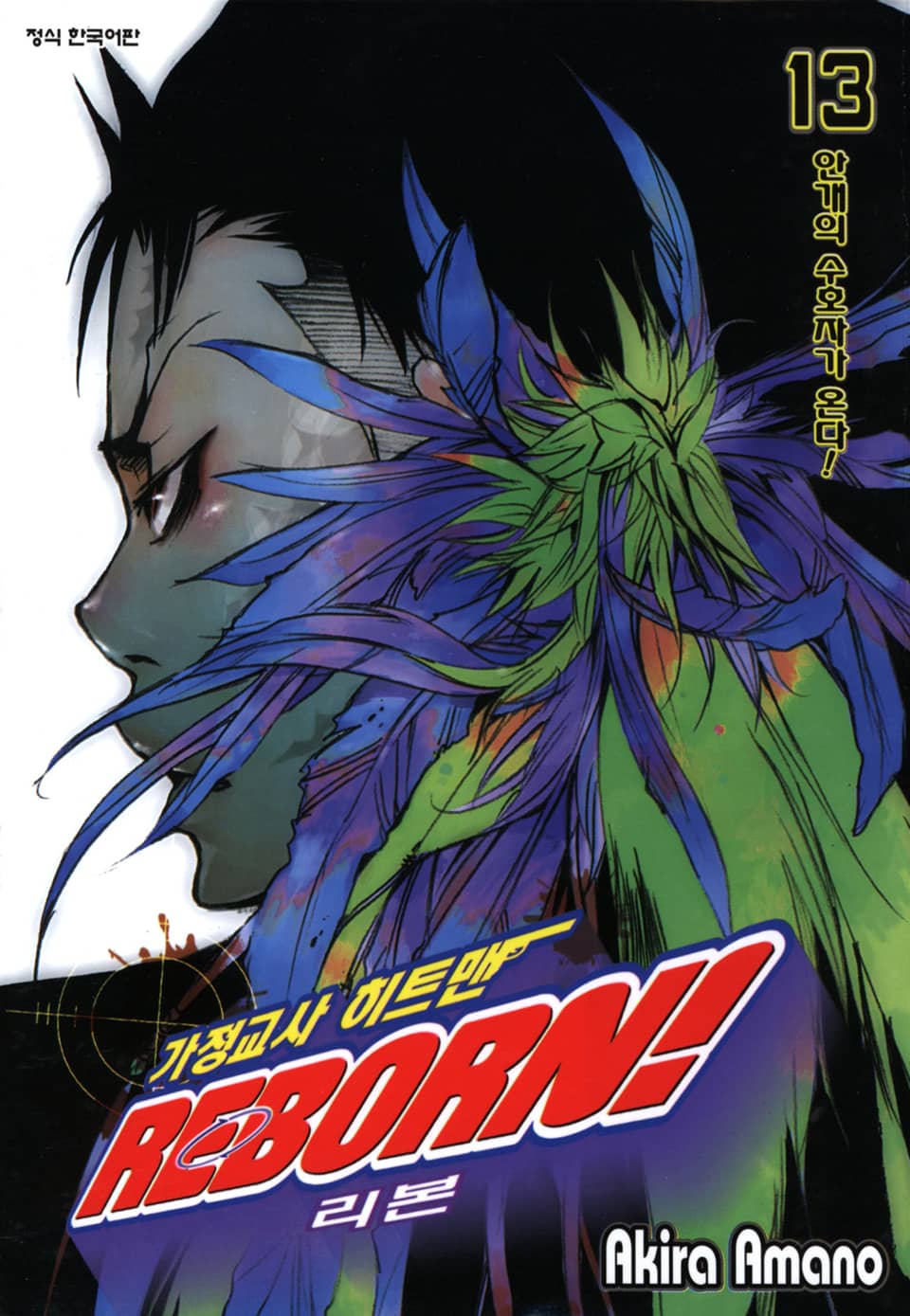 가정교사 히트맨 리본! 13권