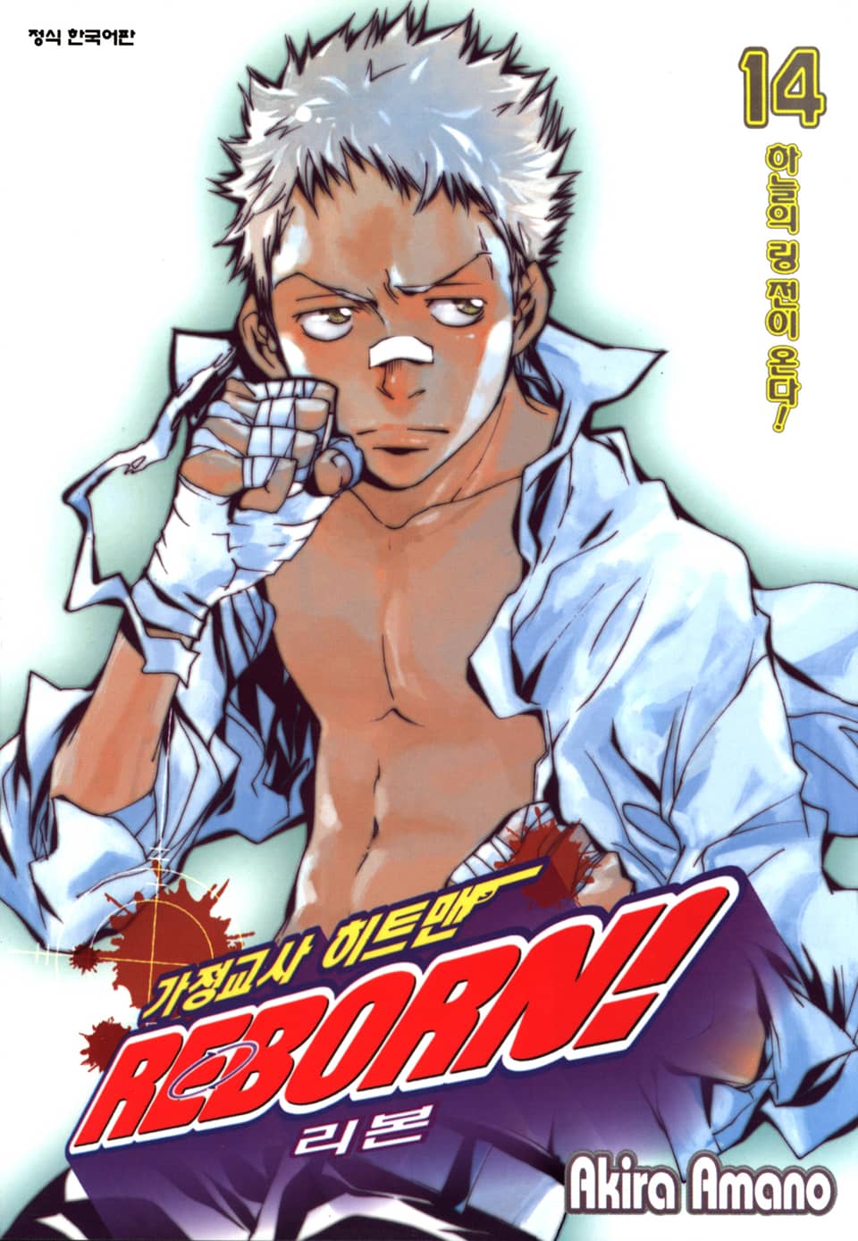 가정교사 히트맨 리본! 14권