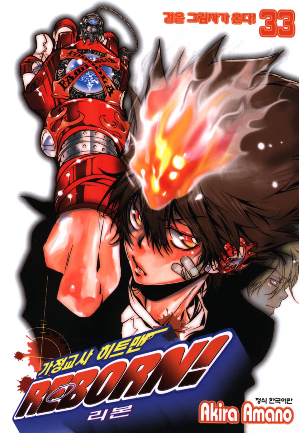 가정교사 히트맨 리본! 33권