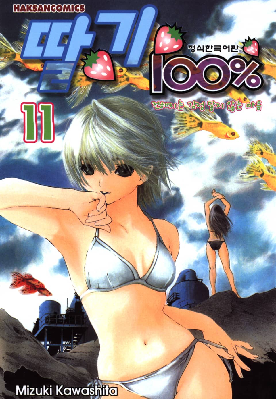 딸기 100% 11권
