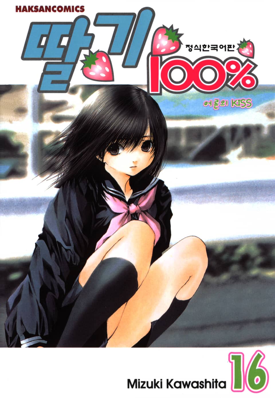 딸기 100% 16권