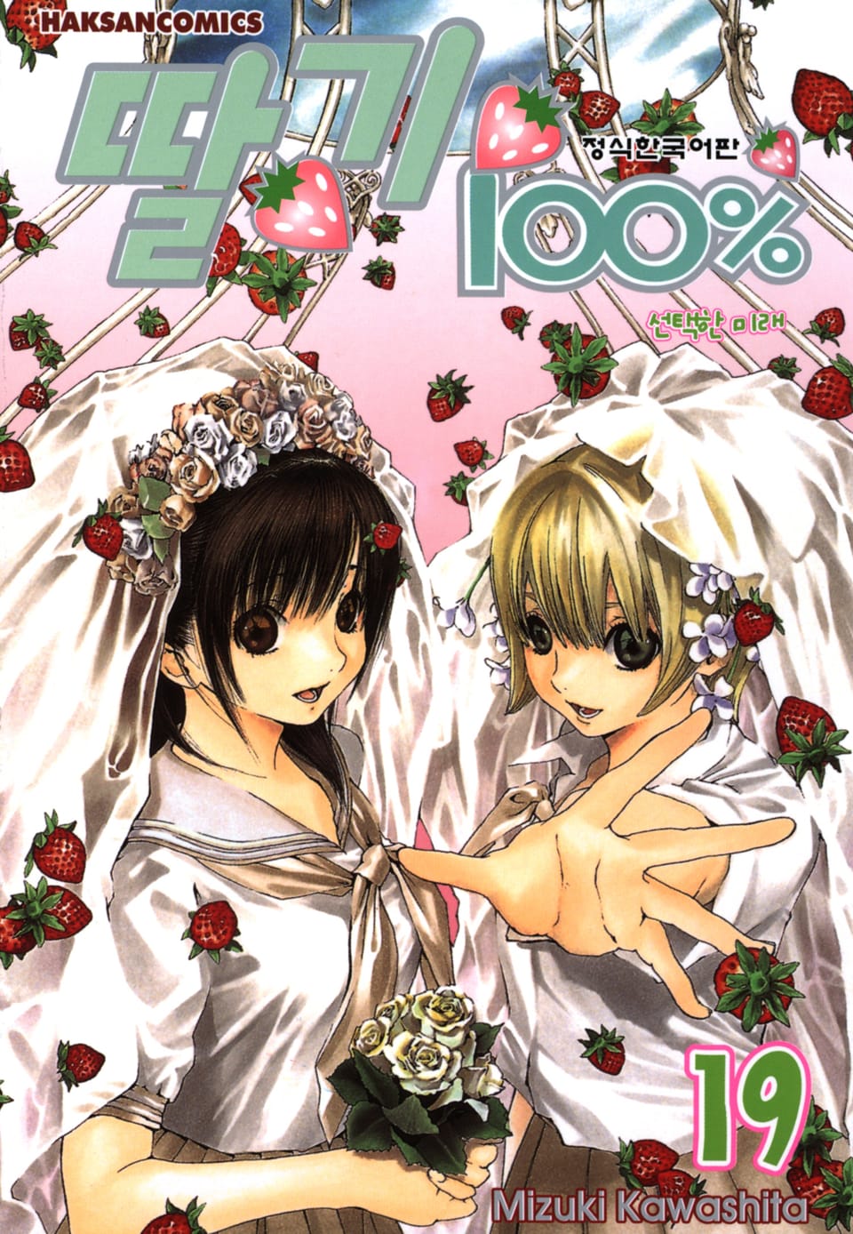 딸기 100% 19권 (완결)