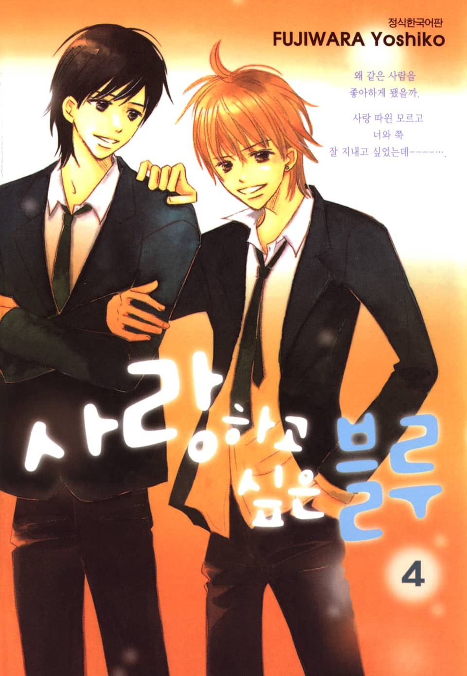 사랑하고 싶은 블루 4권