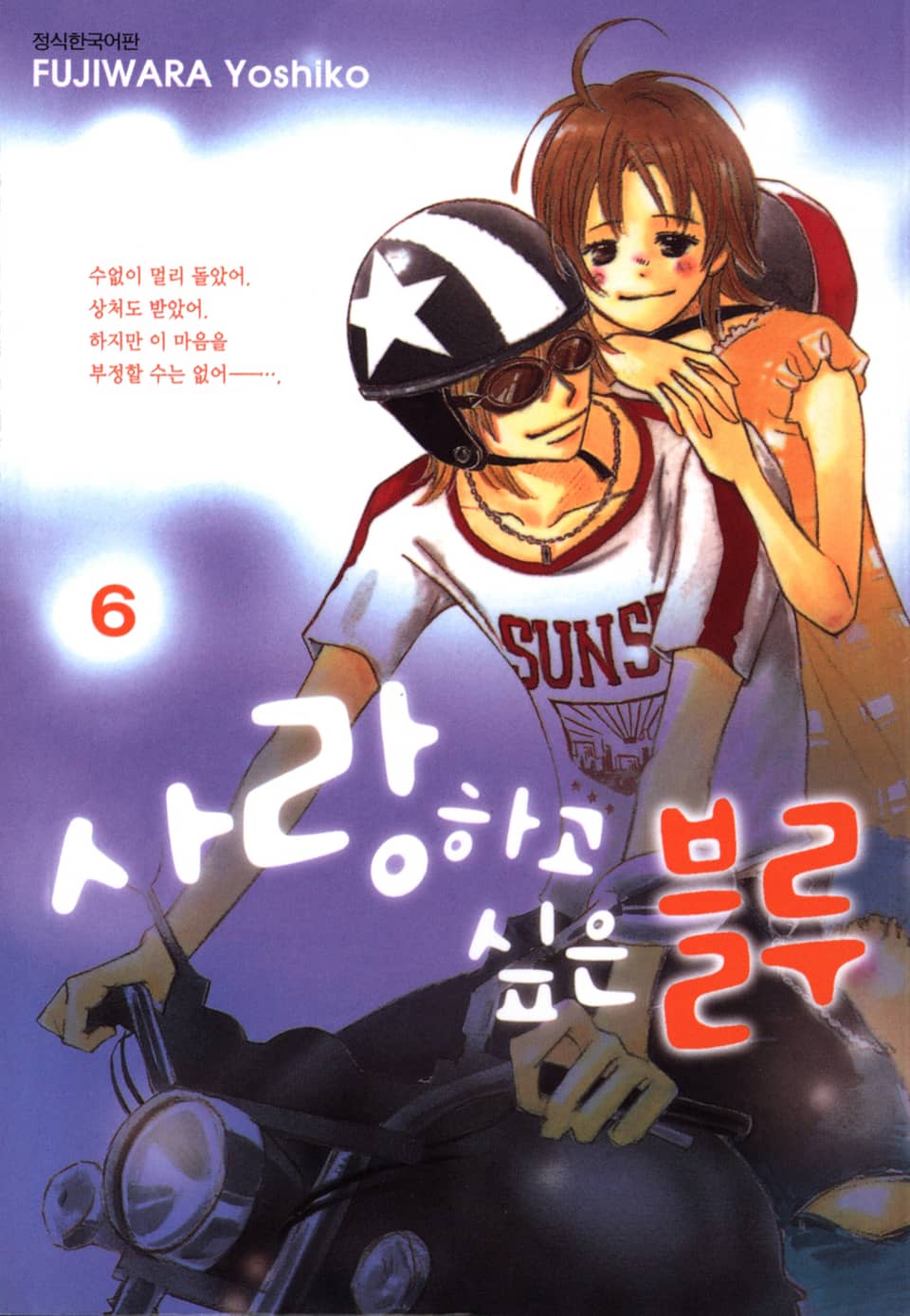 사랑하고 싶은 블루 6권 (완결)