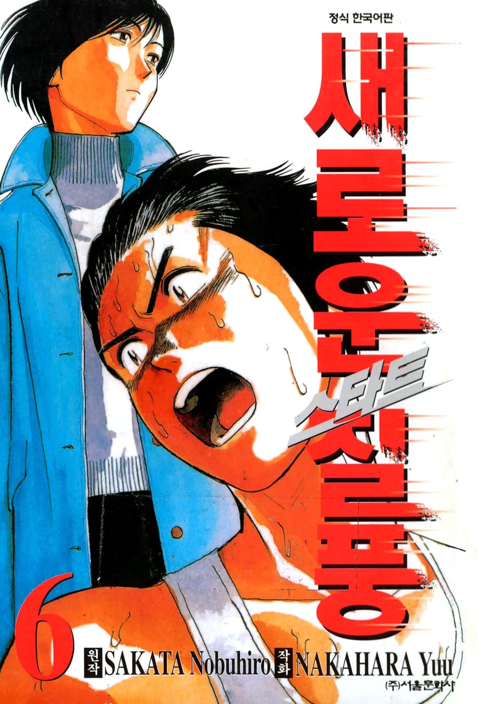 스타트 새로운 질풍 6권 (완결)