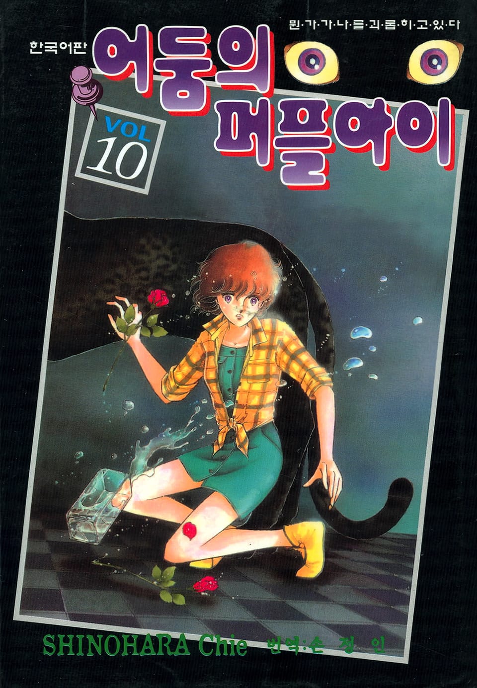 어둠의 퍼플아이 10권