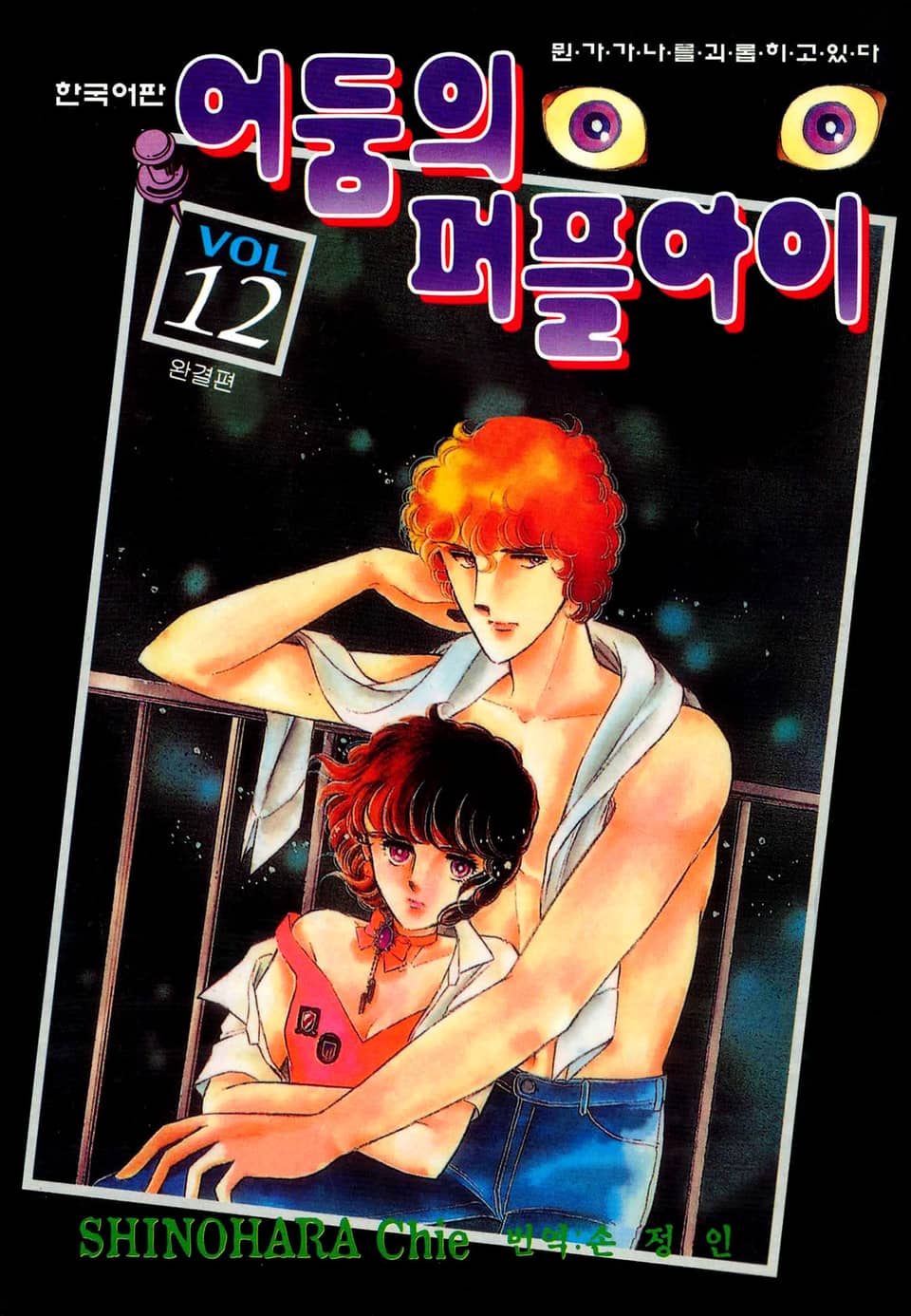 어둠의 퍼플아이 12권 (완결)