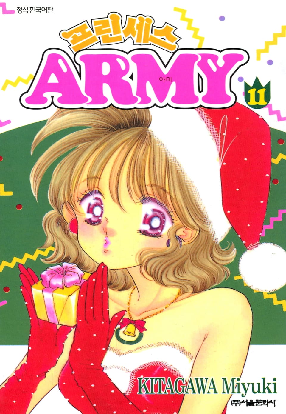 프린세스 아미 11권
