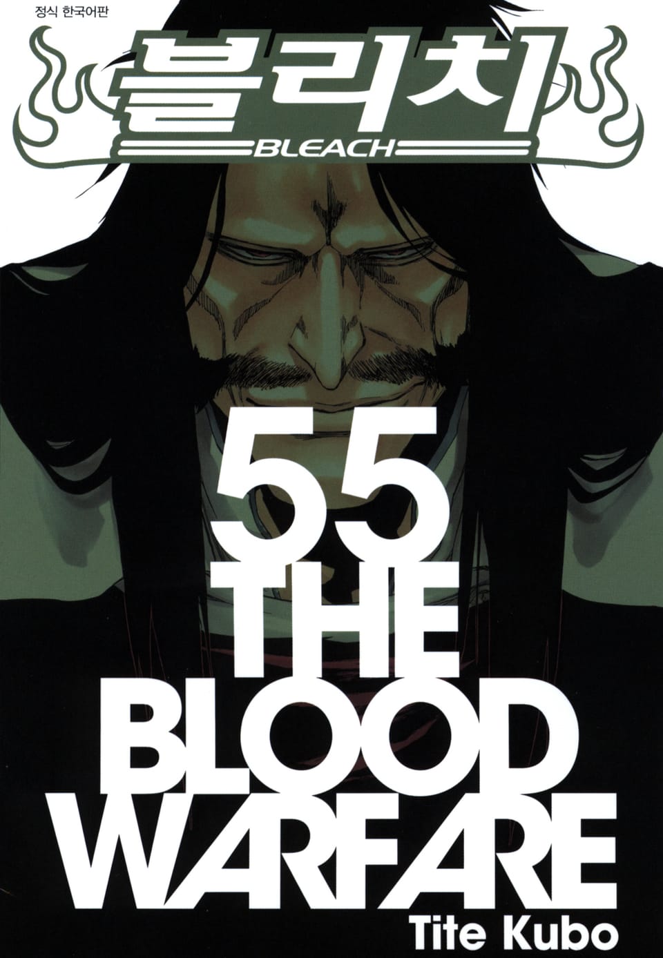 블리치 55권