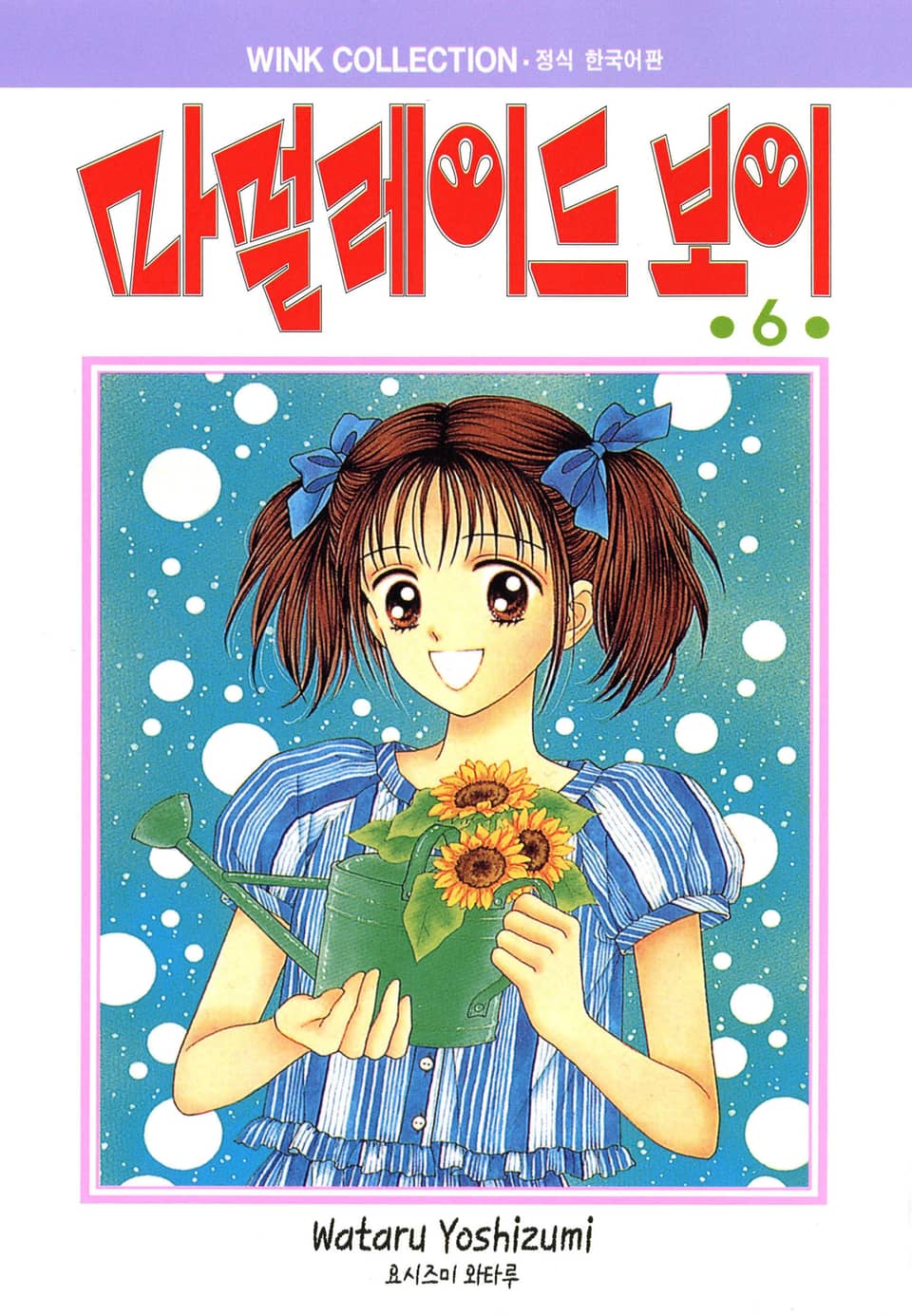 마멀레이드 보이 6권