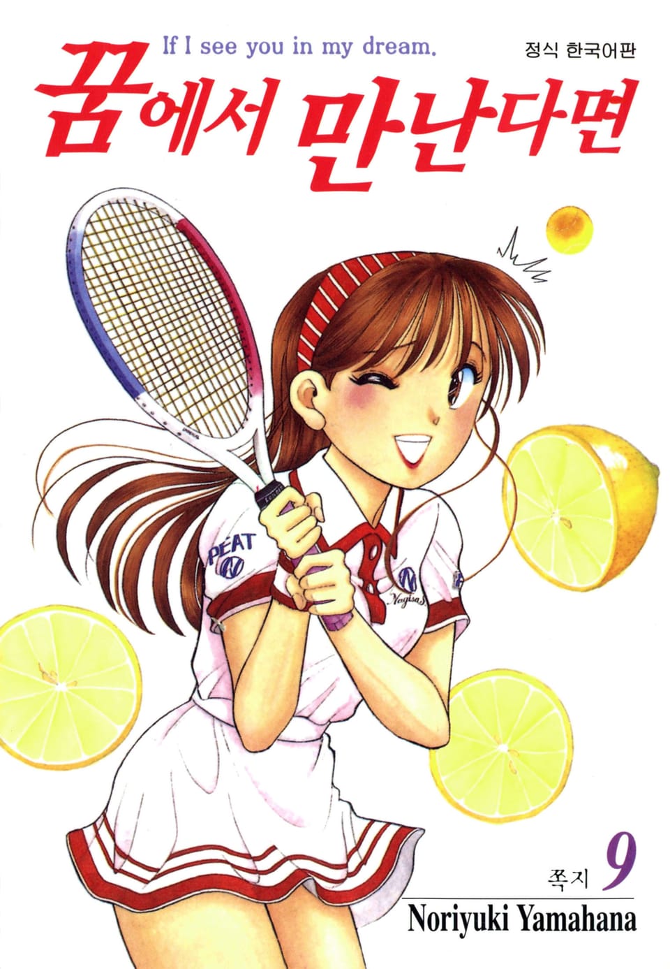 꿈에서 만난다면 9권