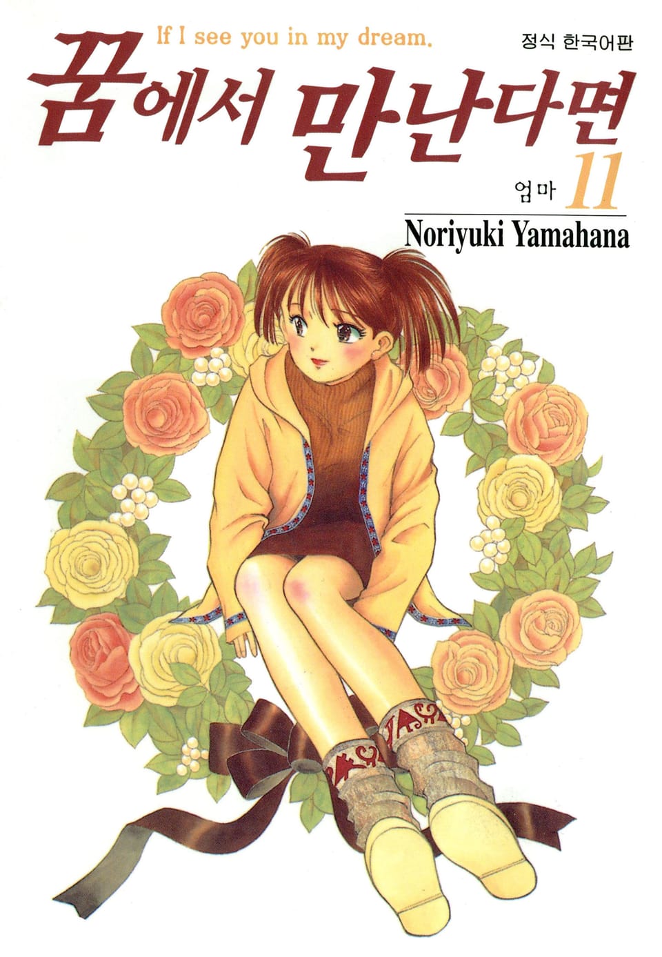 꿈에서 만난다면 11권