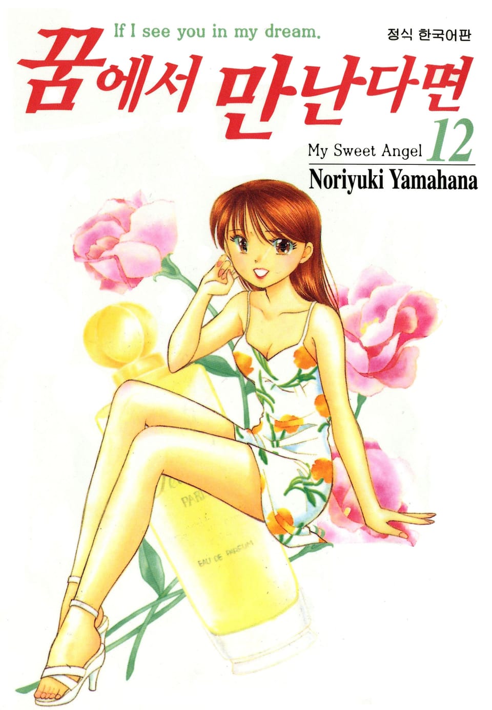 꿈에서 만난다면 12권