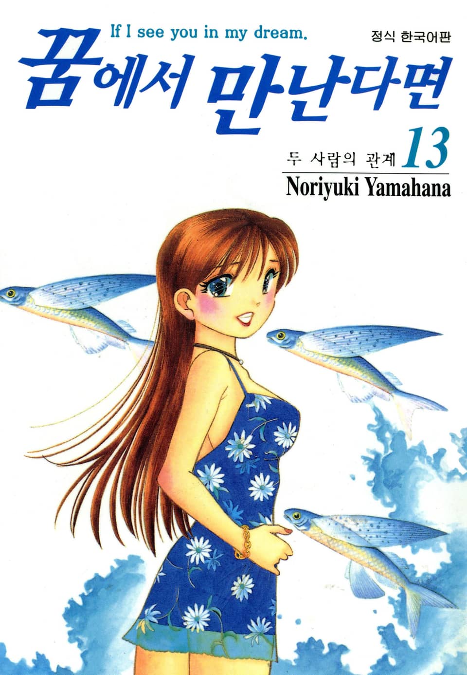 꿈에서 만난다면 13권