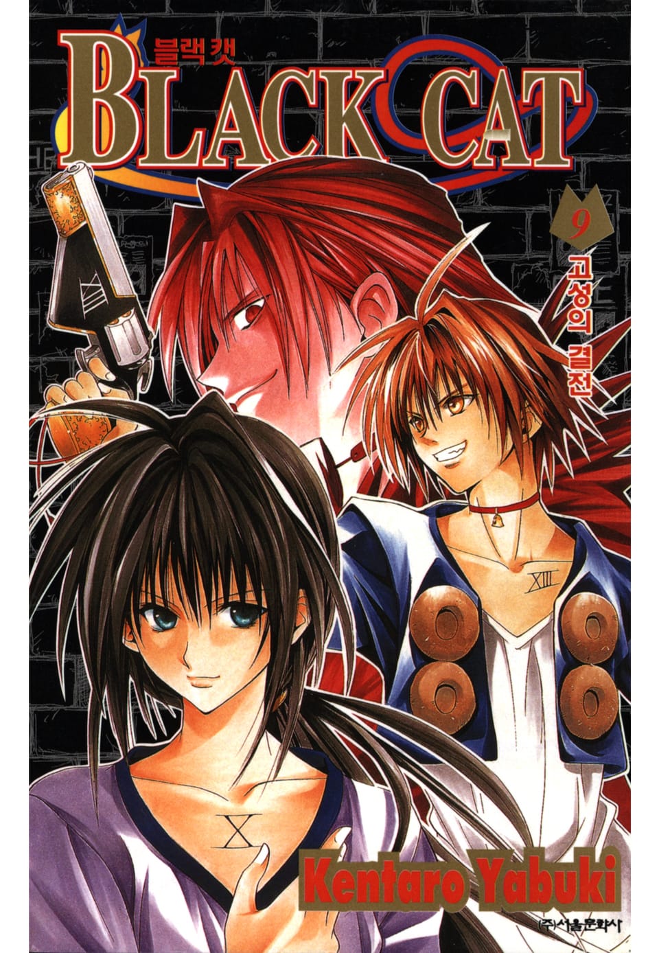 블랙캣 9권