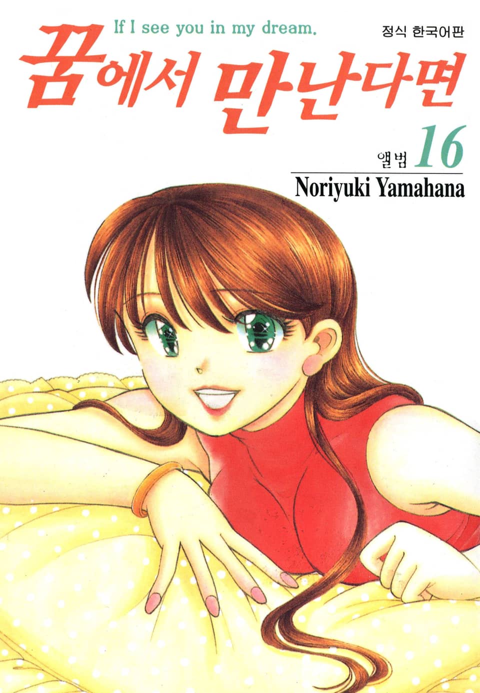 꿈에서 만난다면 16권