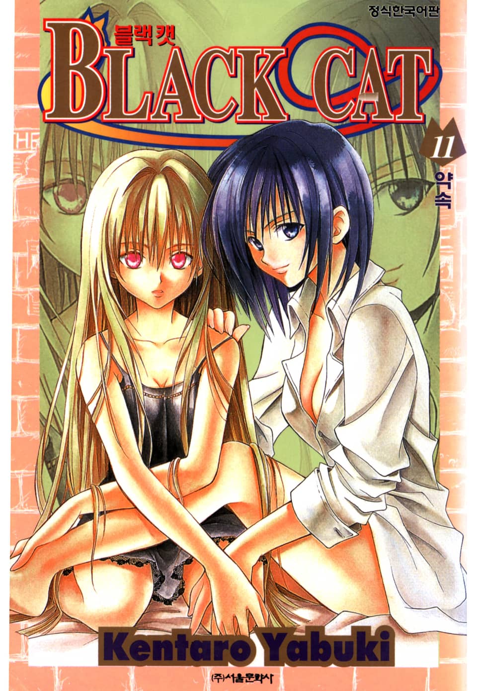 블랙캣 11권
