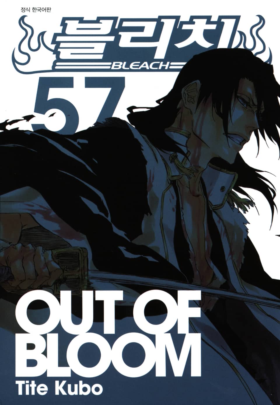 블리치 57권