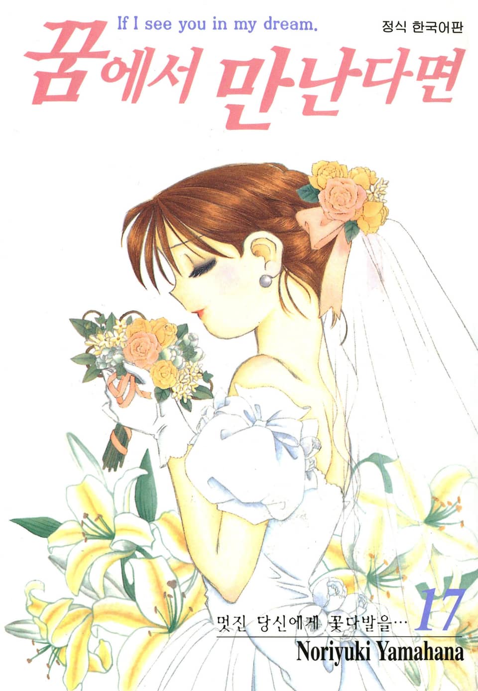 꿈에서 만난다면 17권 (완결)