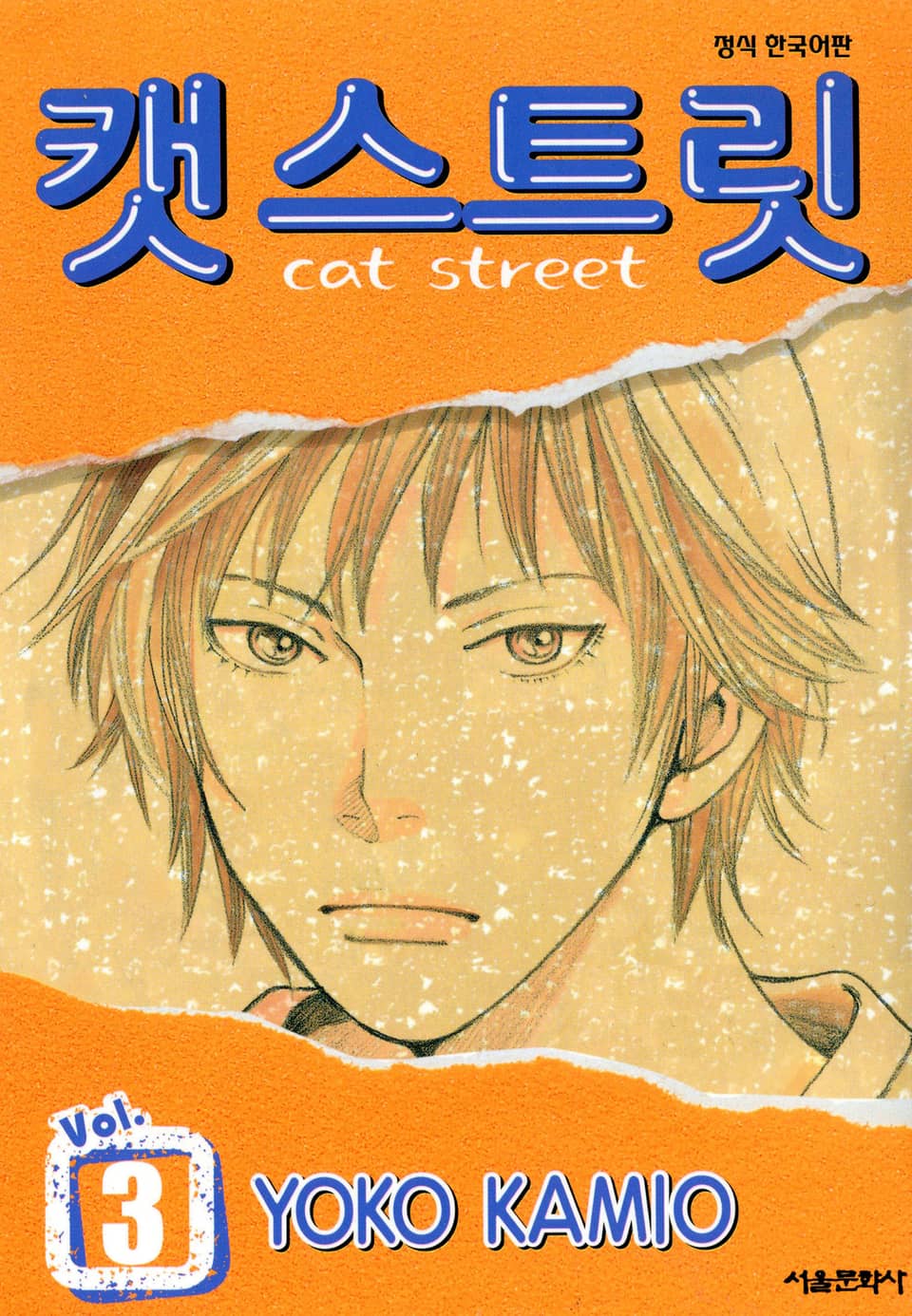 캣 스트릿 3권