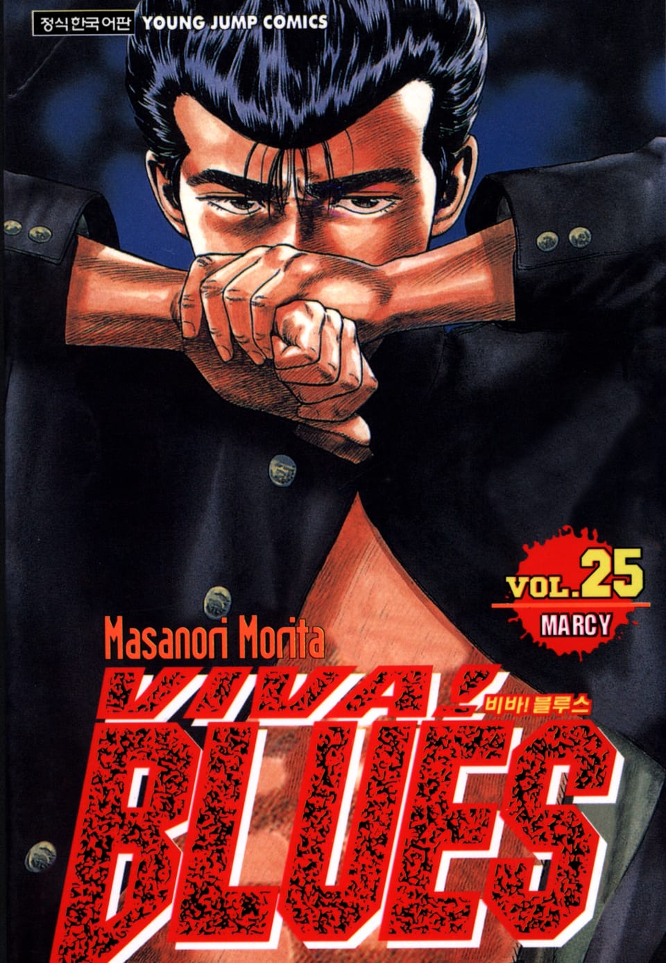 비바 블루스 25권