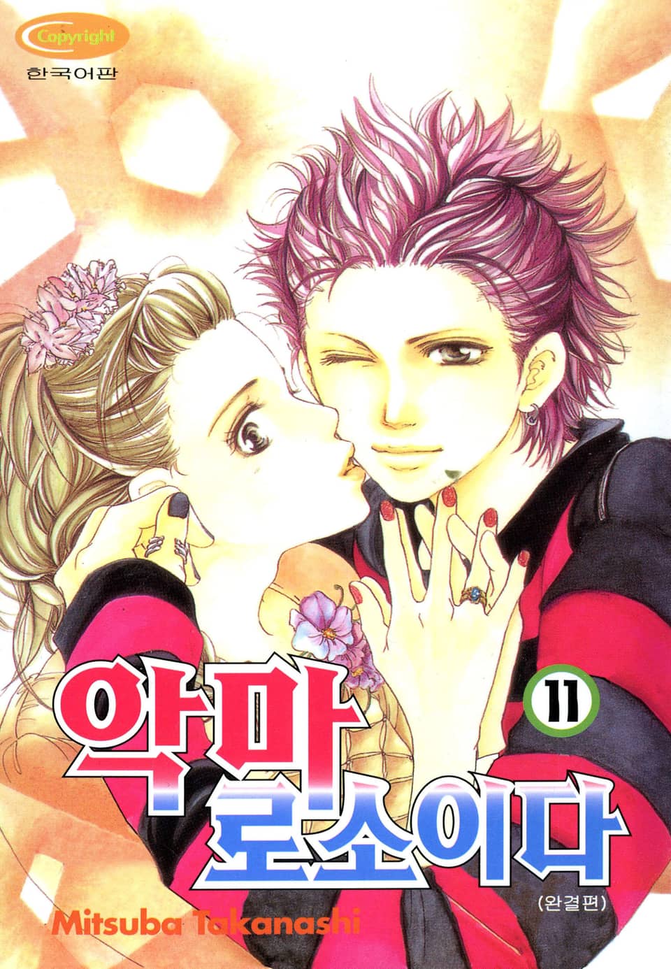 악마로소이다 11권 (완결)