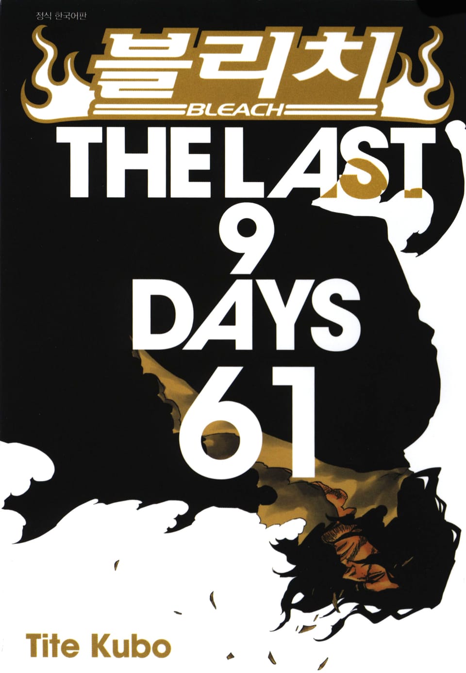 블리치 61권