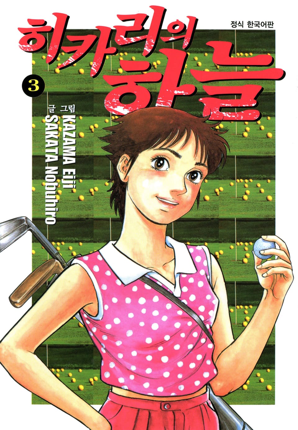 히카리의 하늘 3권