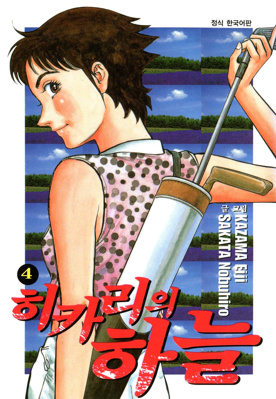 히카리의 하늘 4권