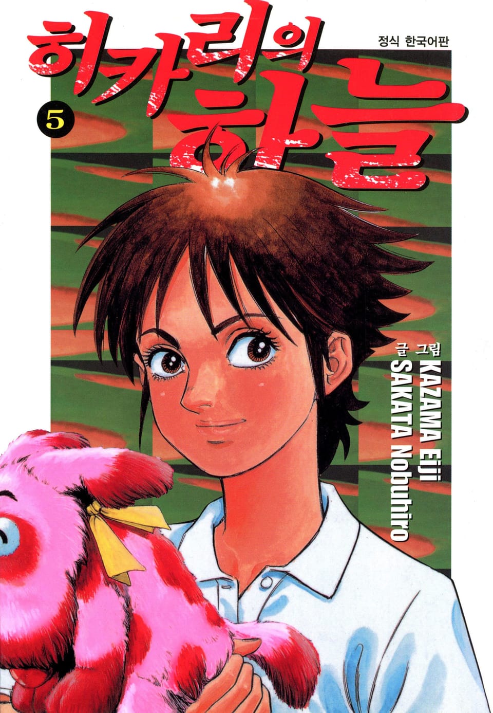 히카리의 하늘 5권