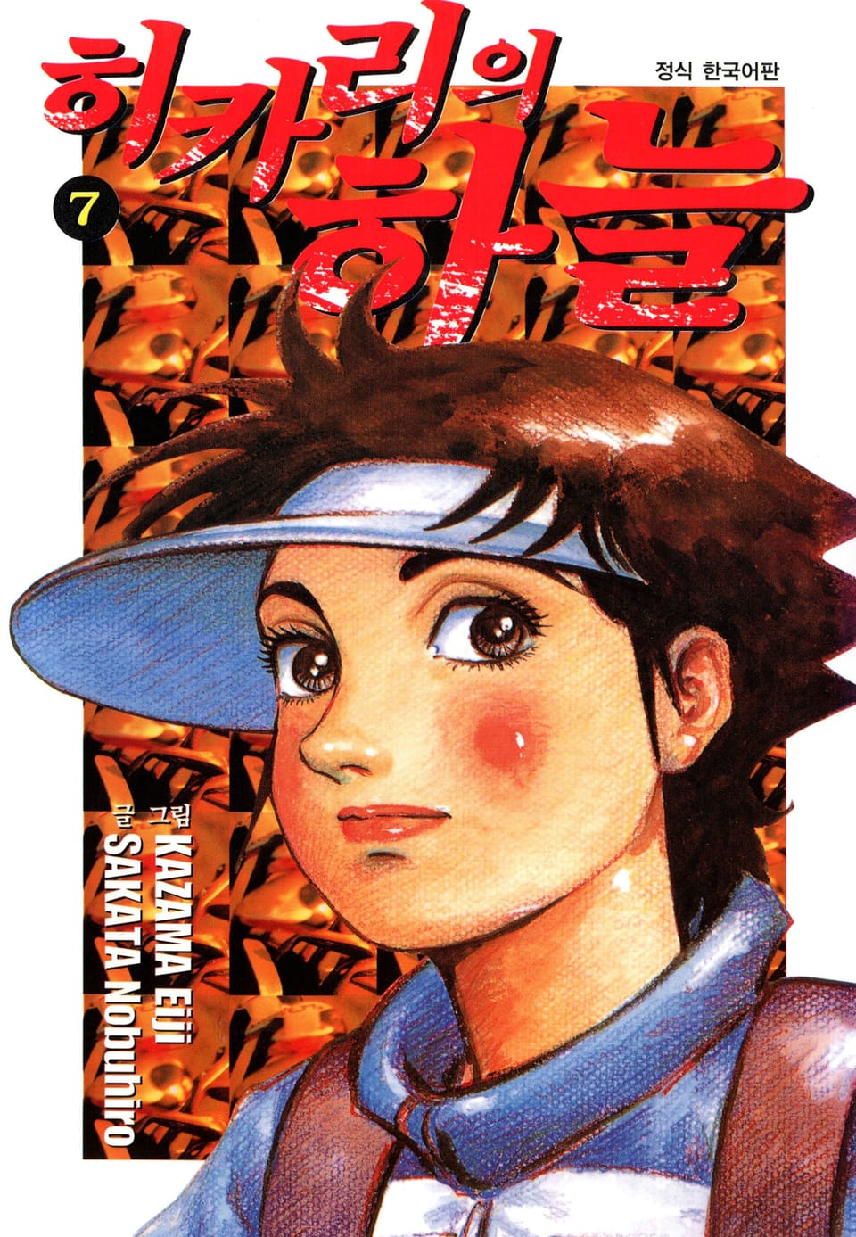 히카리의 하늘 7권