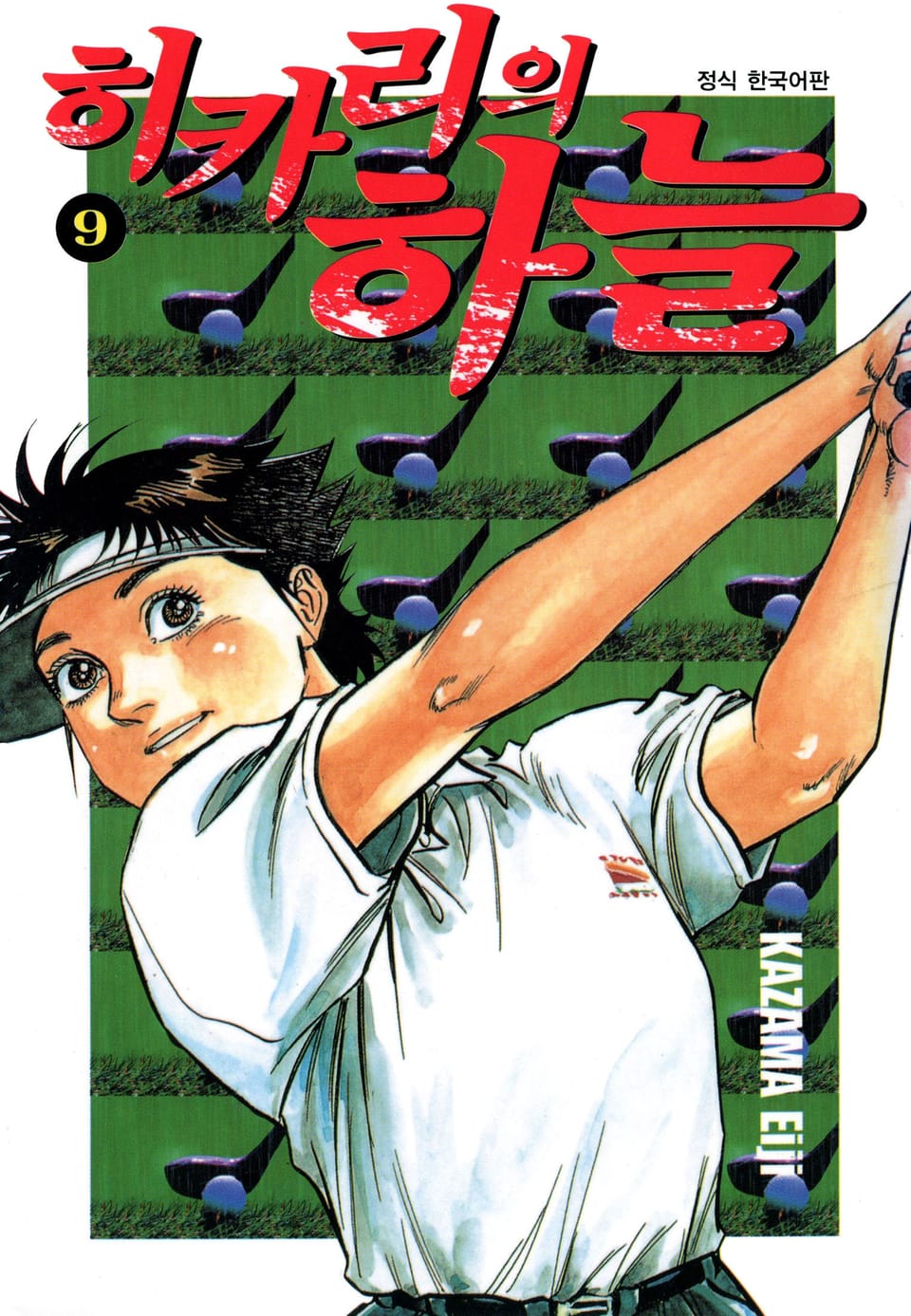 히카리의 하늘 9권