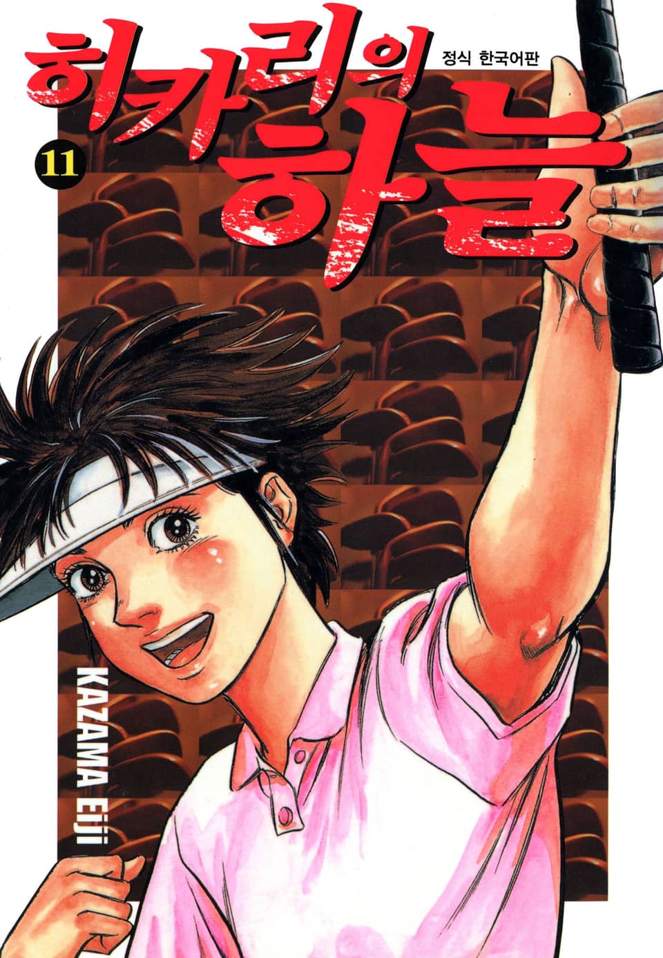 히카리의 하늘 11권