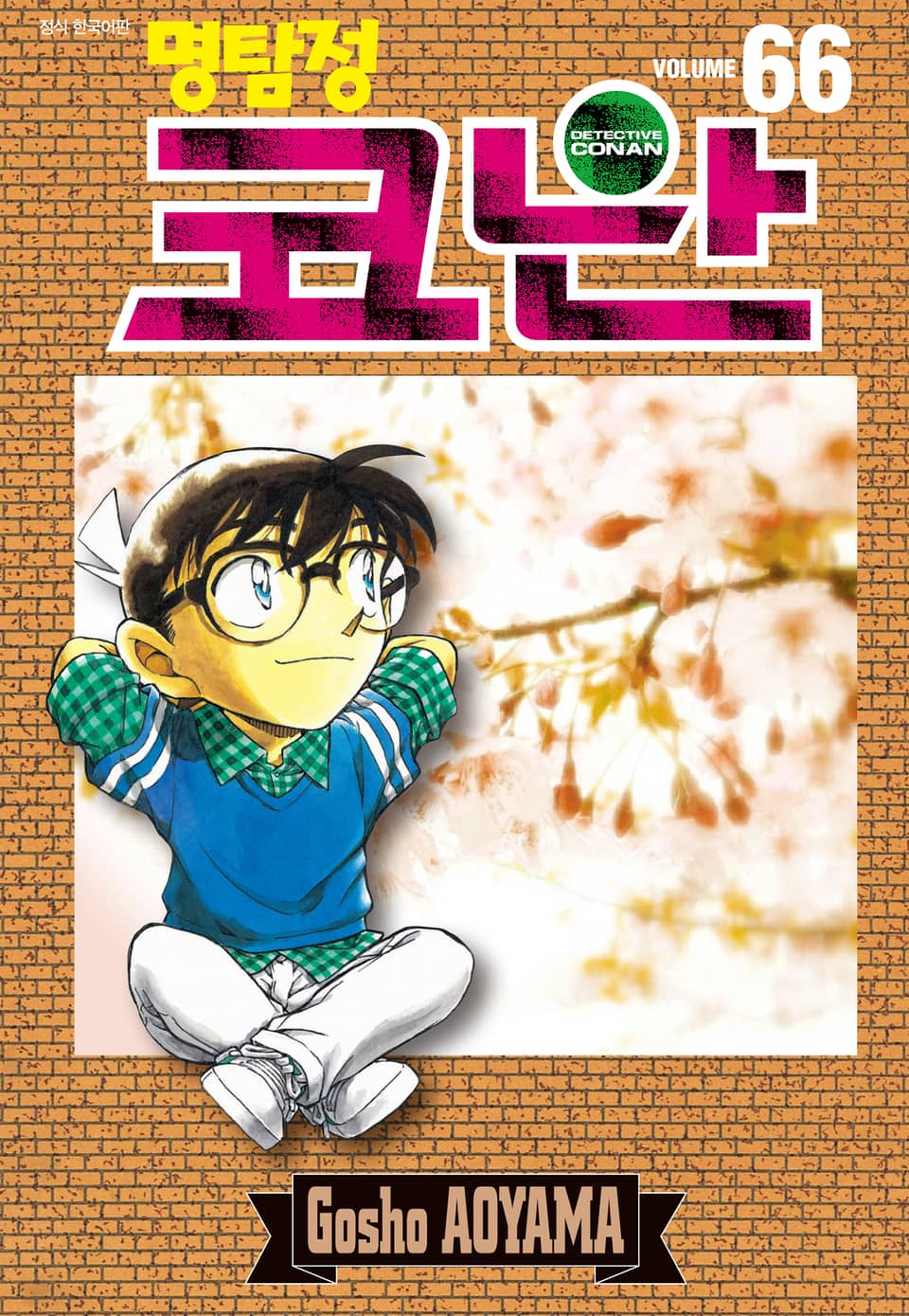 명탐정 코난 66권
