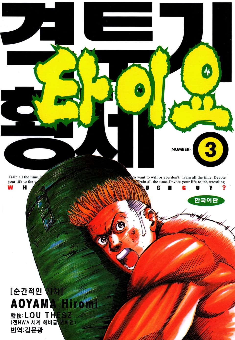 격투기 황제 타이요 3권