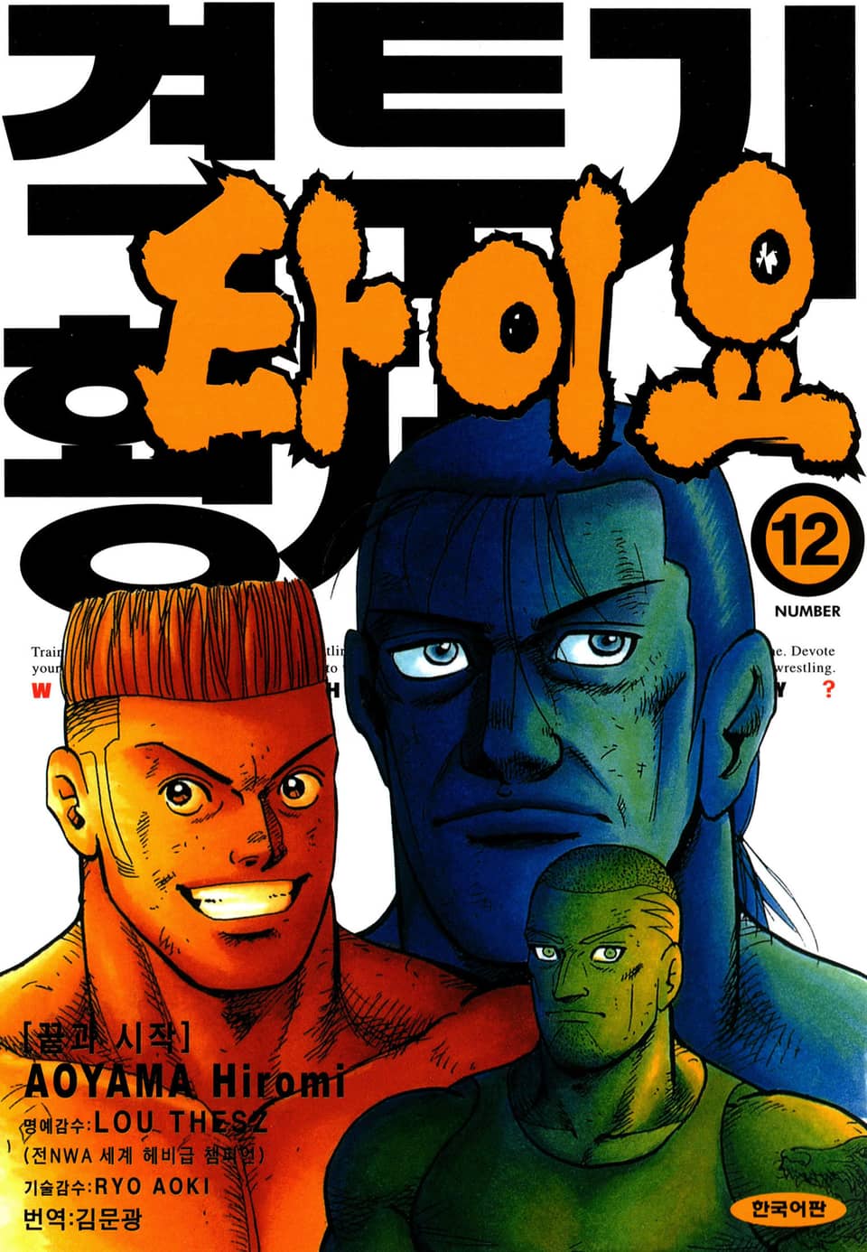 격투기 황제 타이요 12권 (완결)