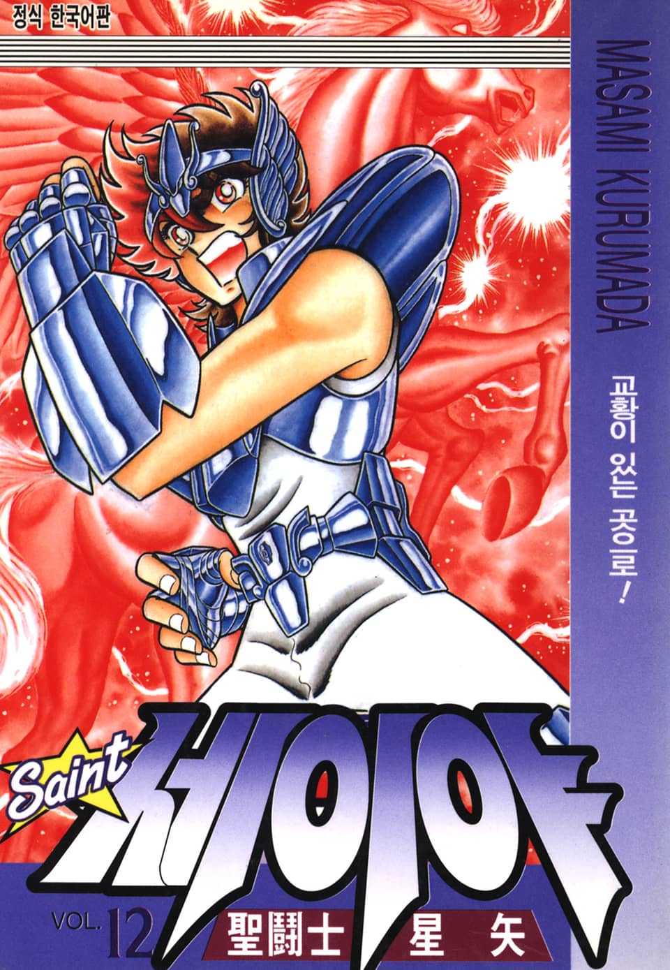 세인트 세이야 12권