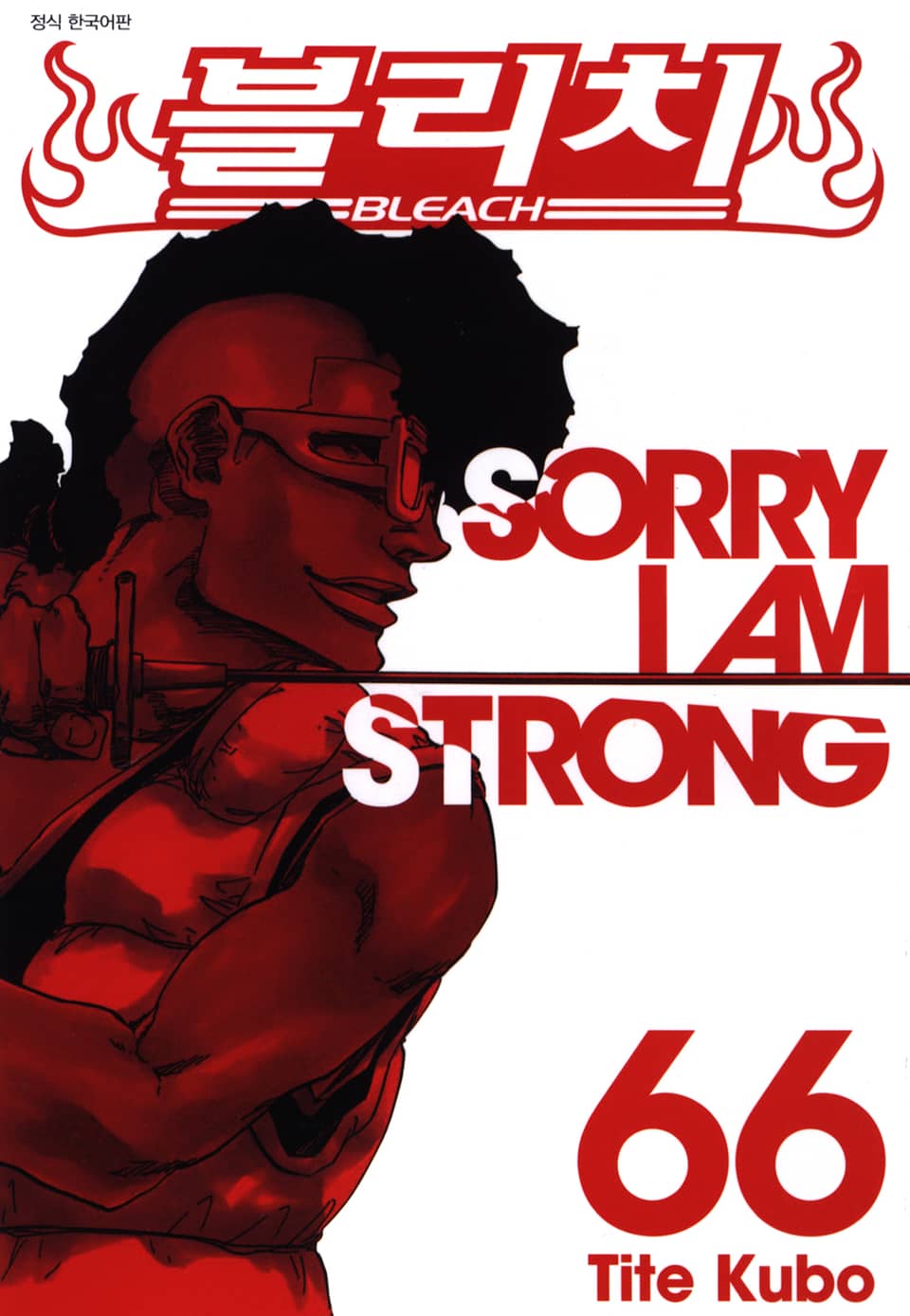 블리치 66권
