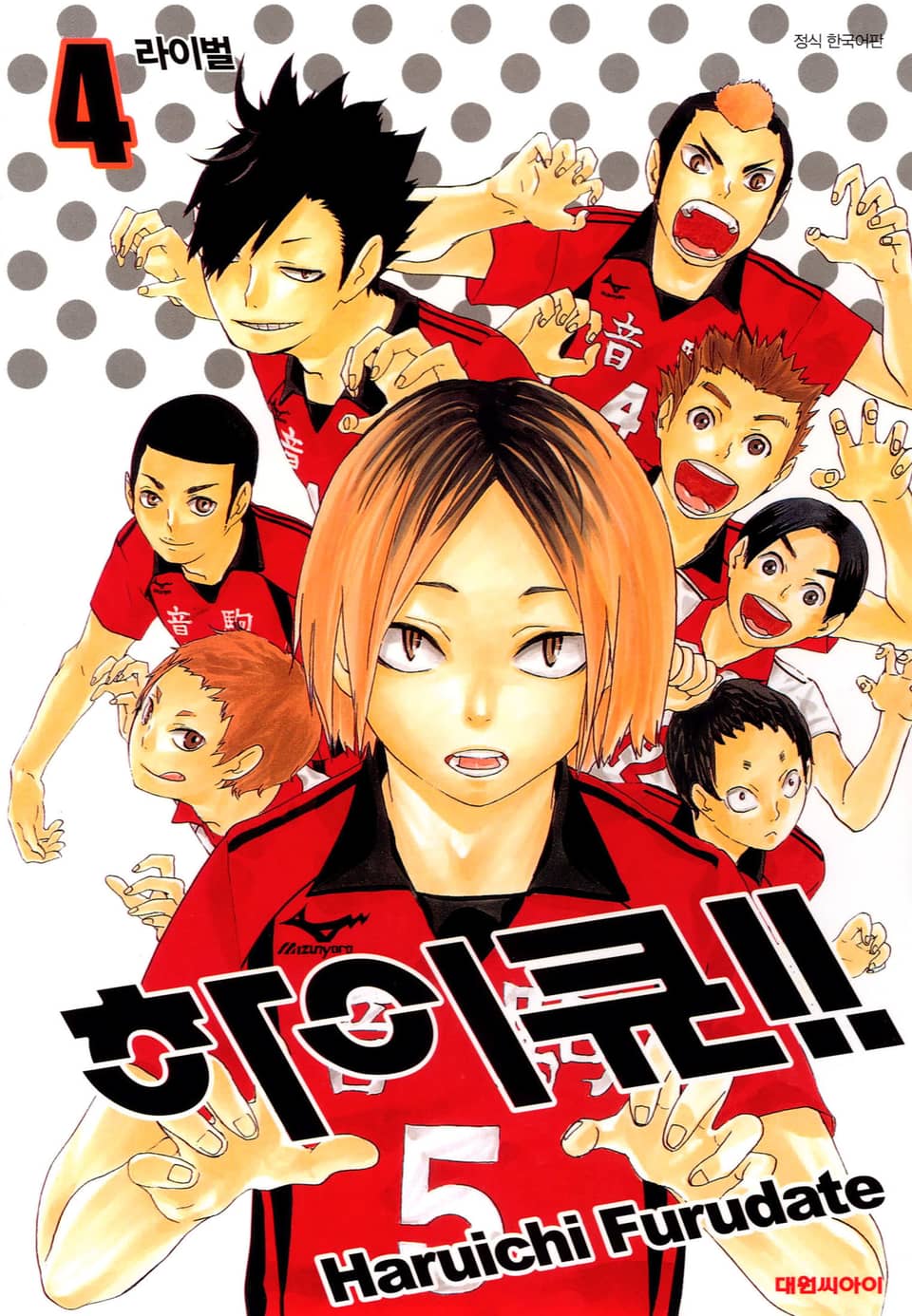 하이큐!! 4권