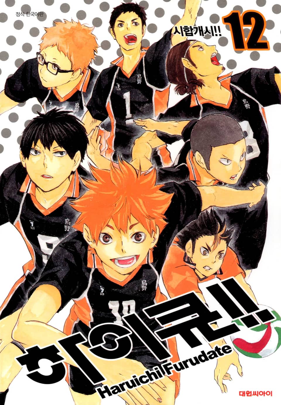 하이큐!! 12권