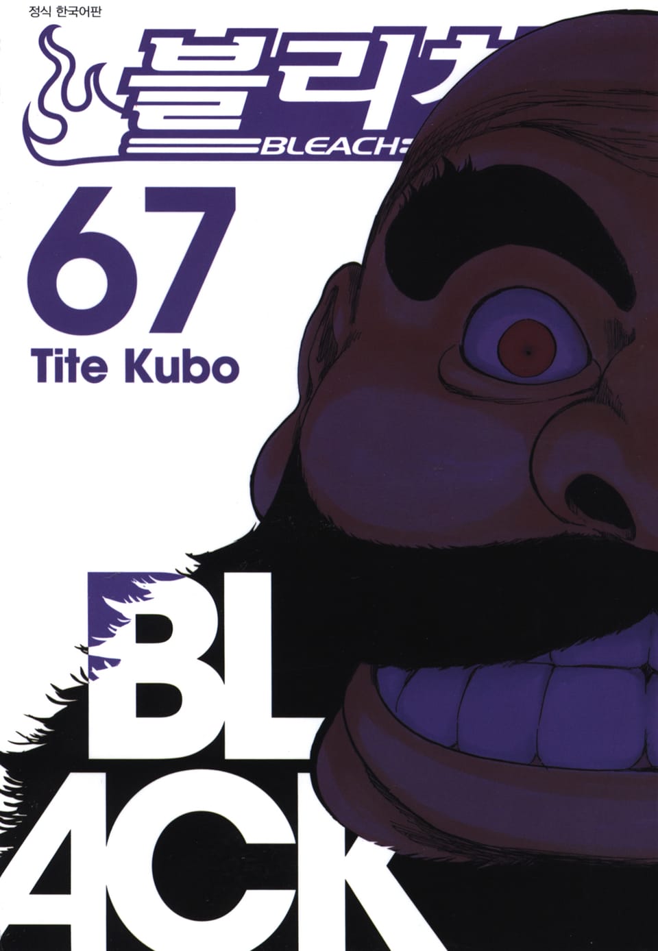 블리치 67권