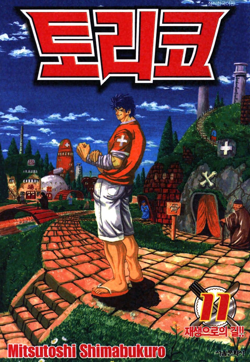 토리코 11권