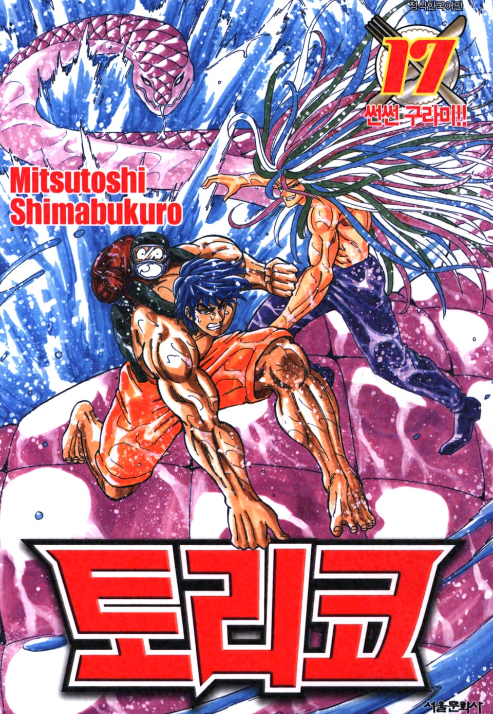 토리코 17권