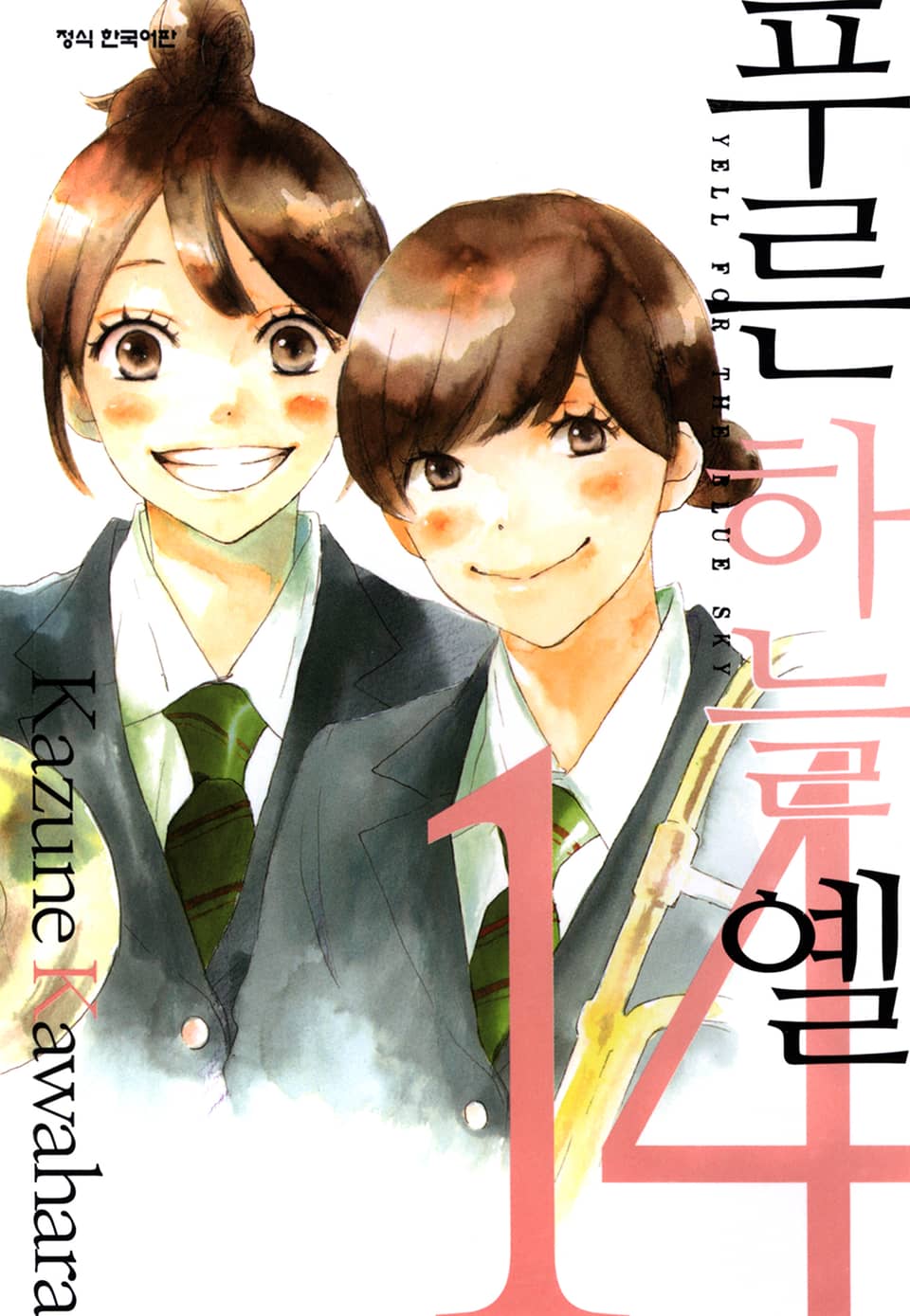 푸른하늘 옐 14권