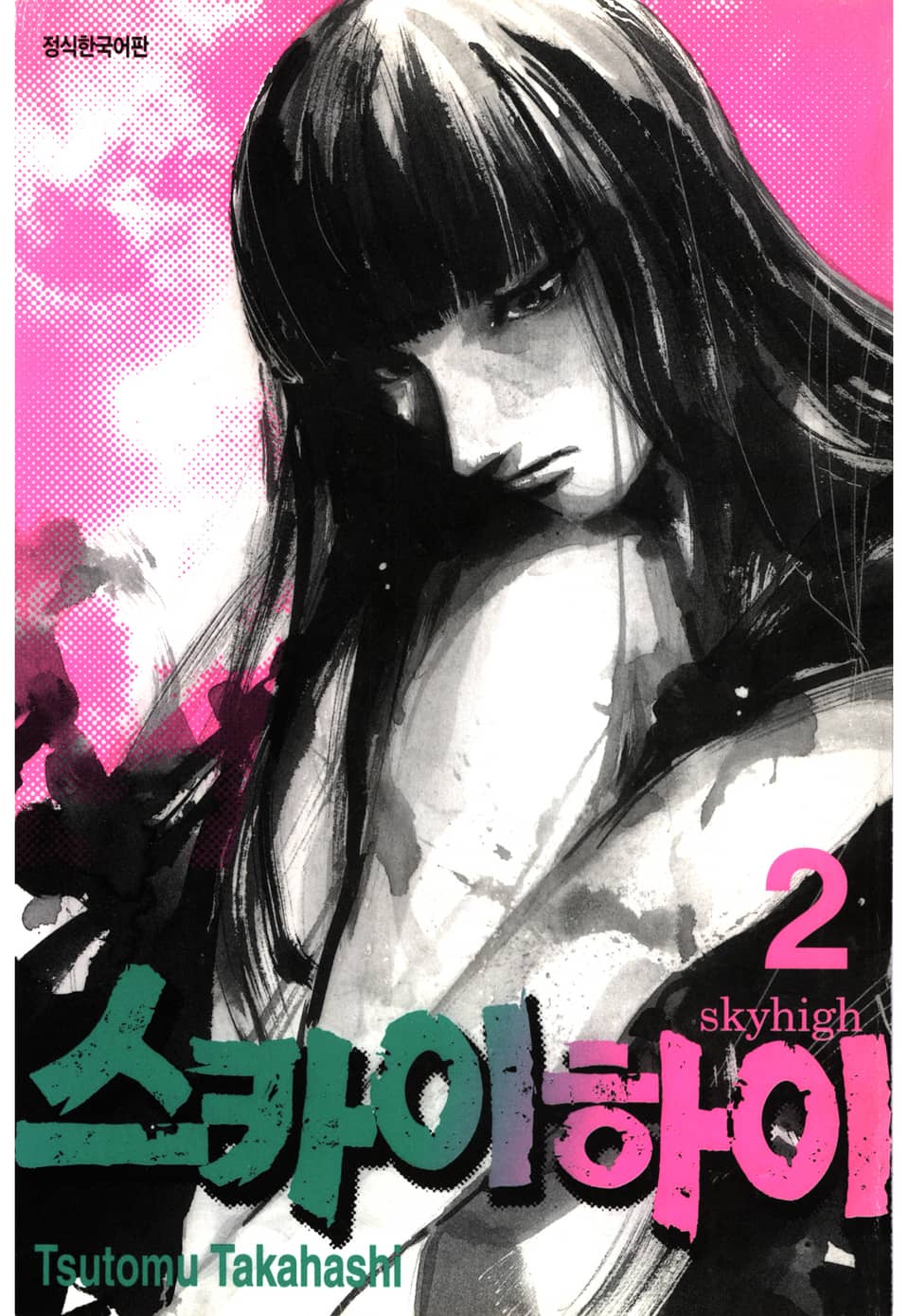 스카이하이 2권 (완결)