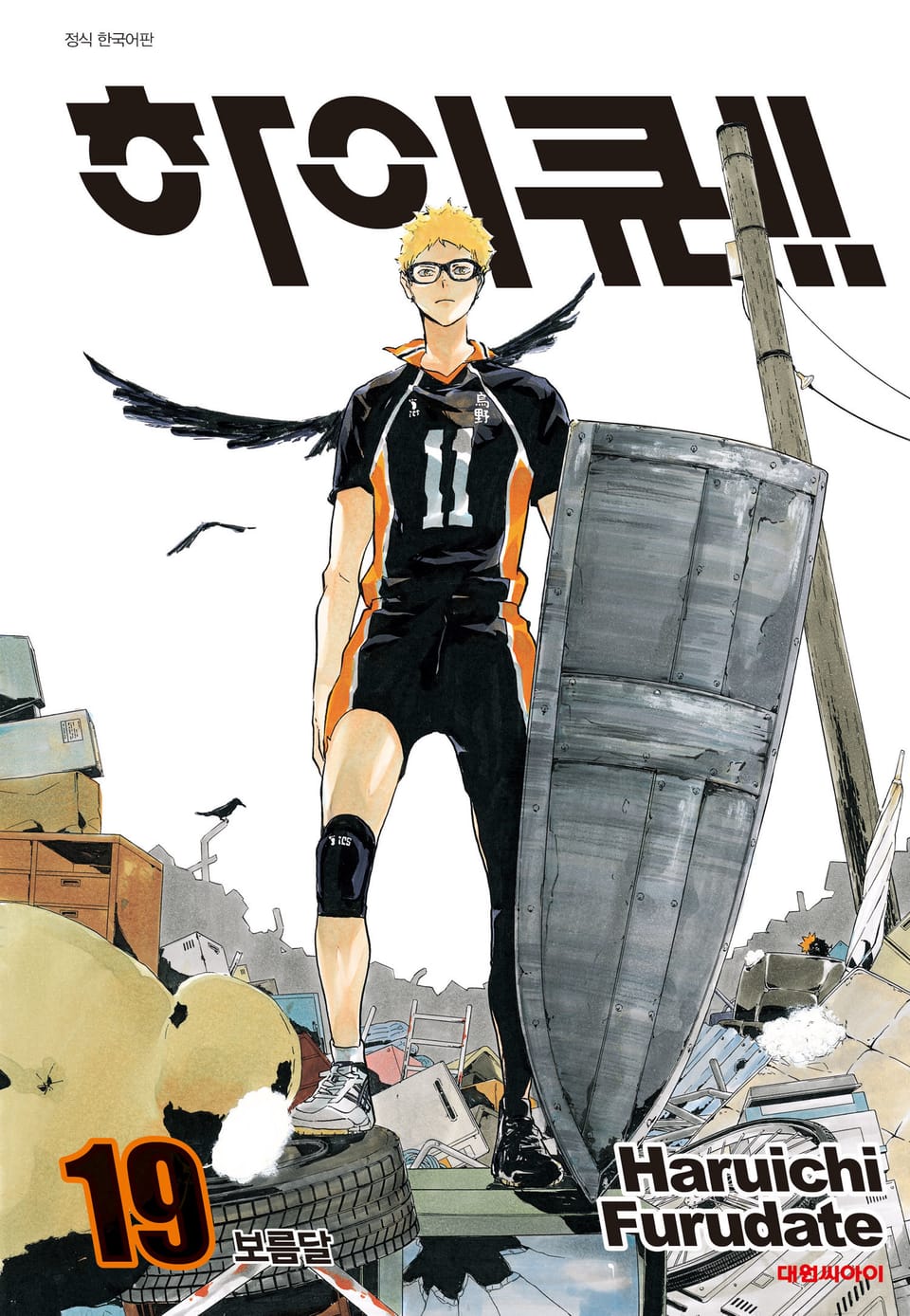 하이큐!! 19권
