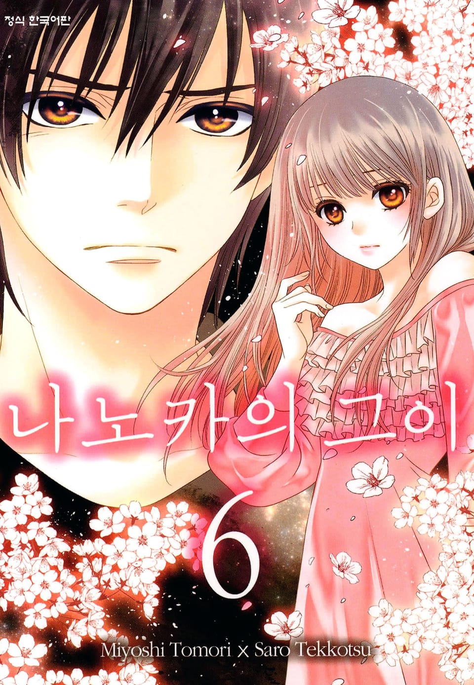 나노카의 그이 6권