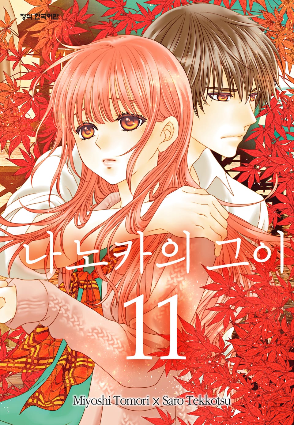 나노카의 그이 11권